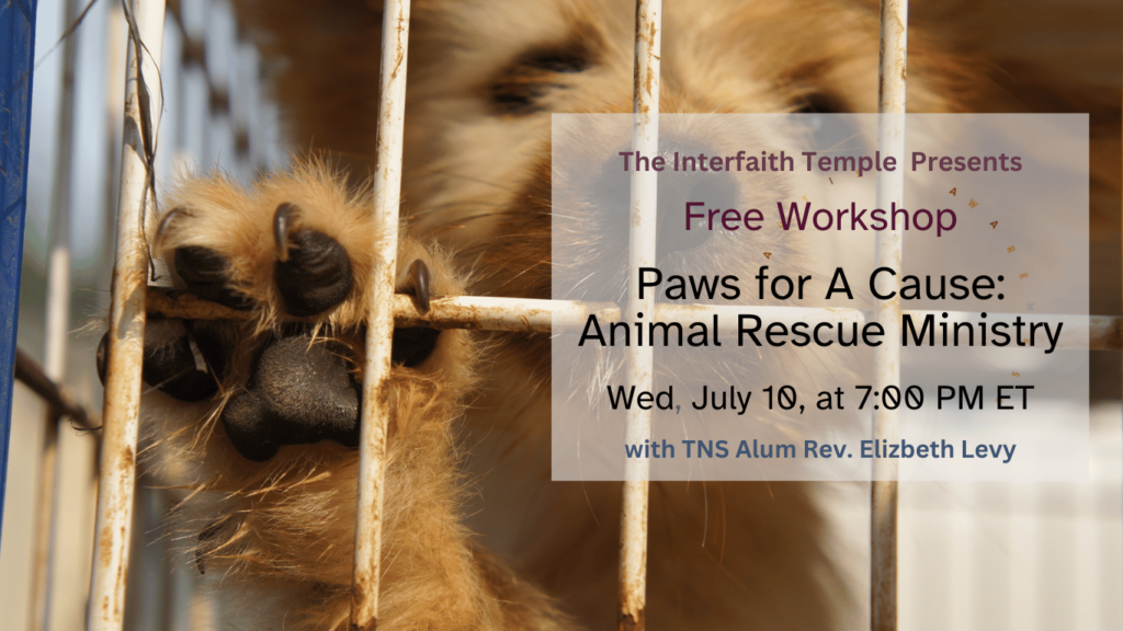 Paws for a Cause: Animal Rescue Ministry Workshop